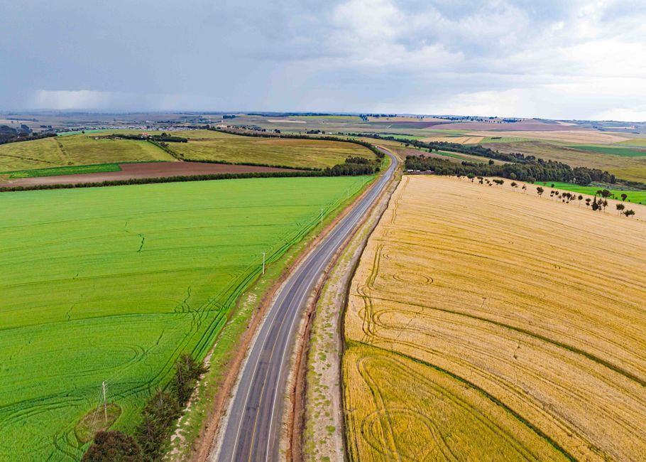 Farmland and a country road in rural Dubuque County, Iowa