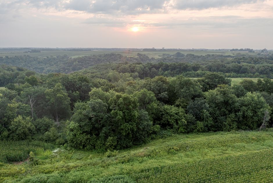 Rolling Driftless Area farmland in rural Grant County, Wisconsin